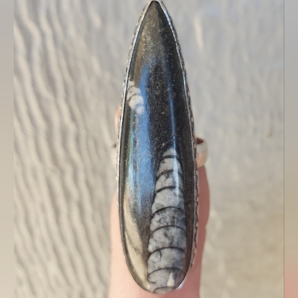 New Oversized Orthoceras Fossil 925 Silver Statement Ring. - Picture 10 of 16